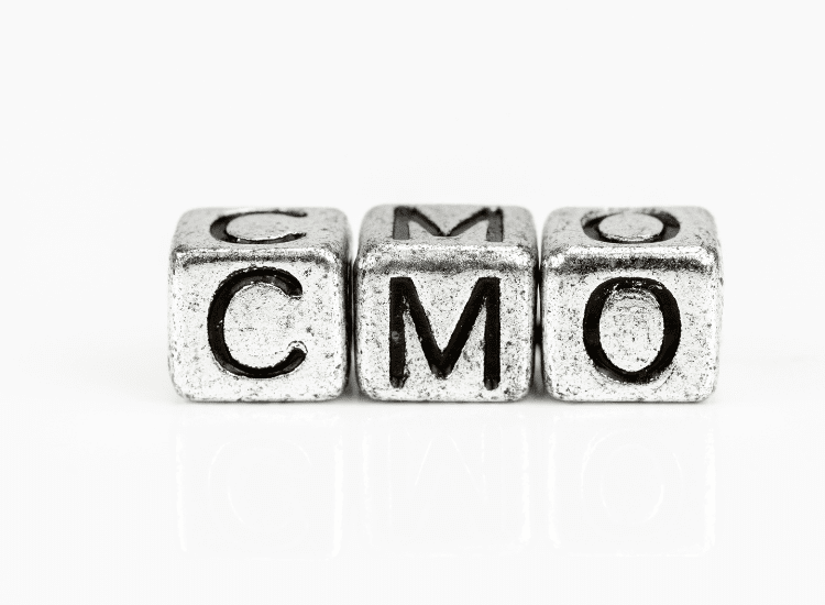 outsourced cmo